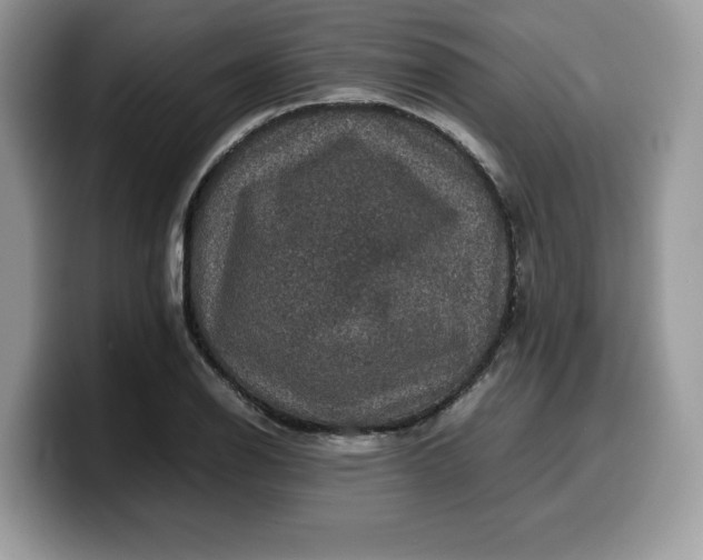 X0000099571126200805301535