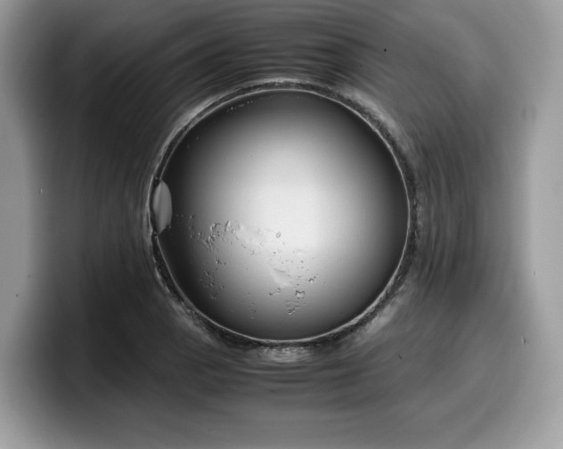 X0000099571129200805301535