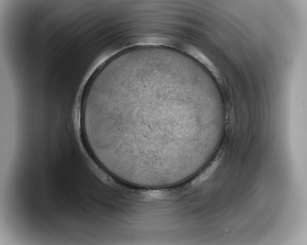 X0000099571130200805301535
