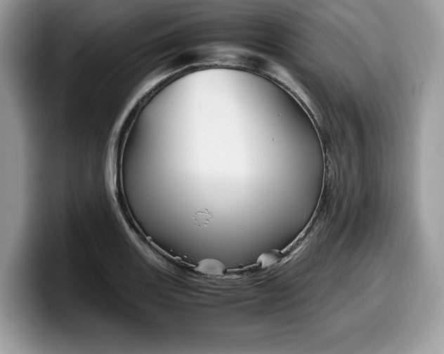 X0000099571131200805301535