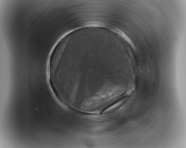 X0000099571132200805301535