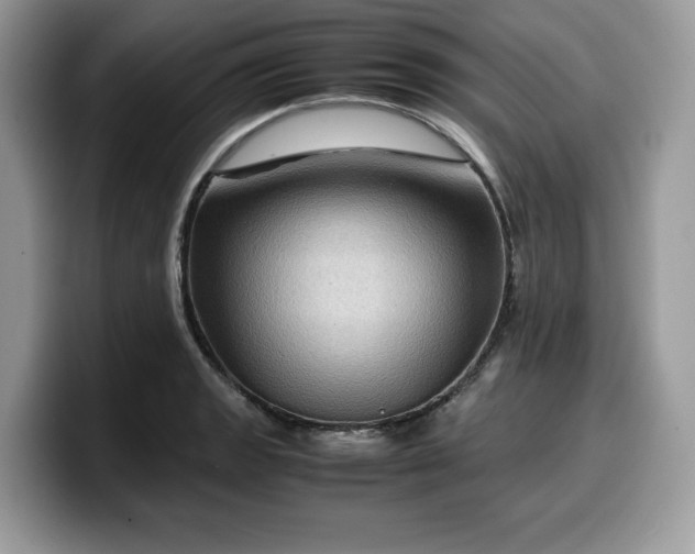 X0000099571133200805301535