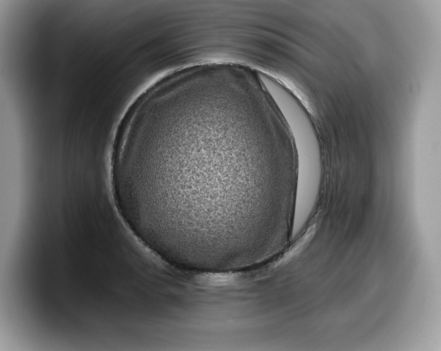 X0000099571134200805301535