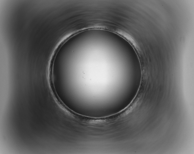 X0000099571135200805301535
