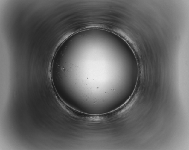 X0000099571137200805301535