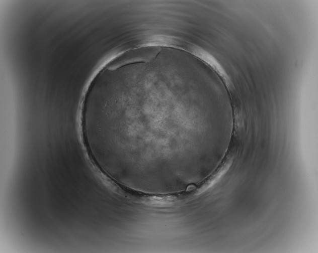 X0000099571138200805301535