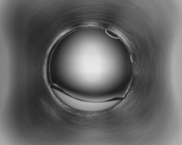 X0000099571139200805301535