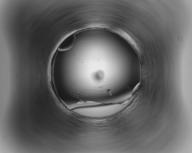 X0000099571140200805301535