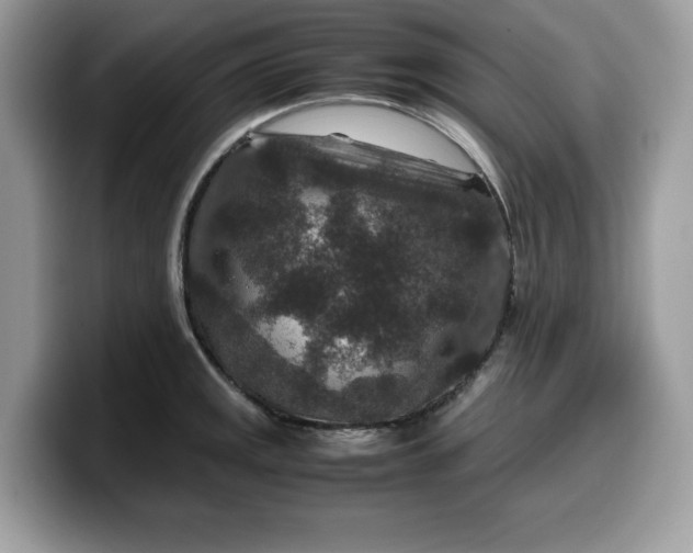 X0000099571141200805301535