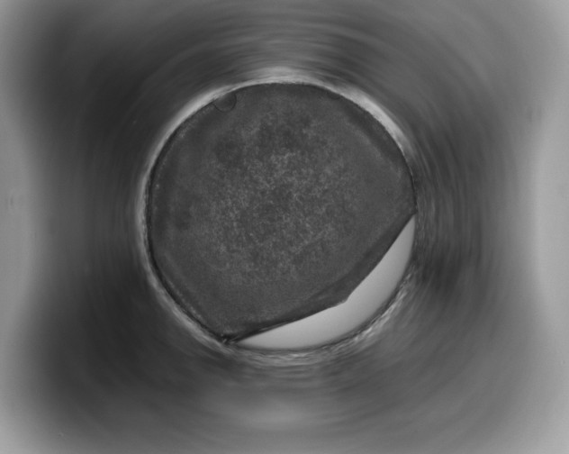 X0000099571142200805301535