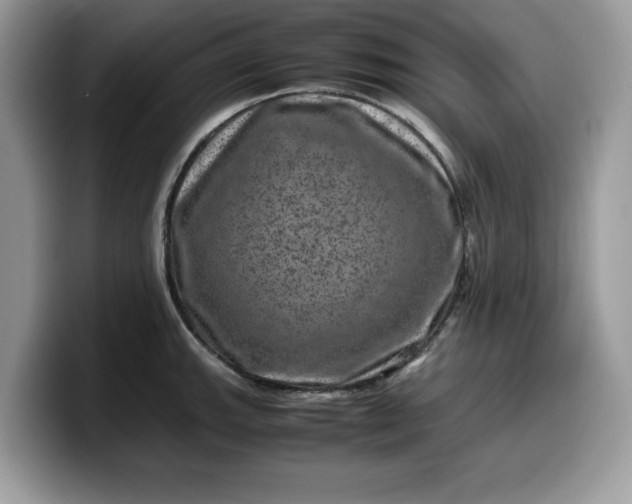 X0000099571143200805301535