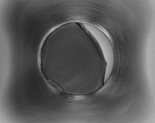X0000099571144200805301535