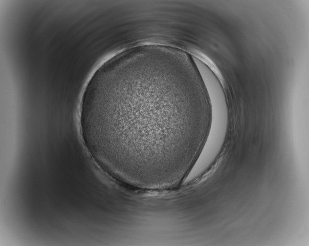 X0000099571146200805301535