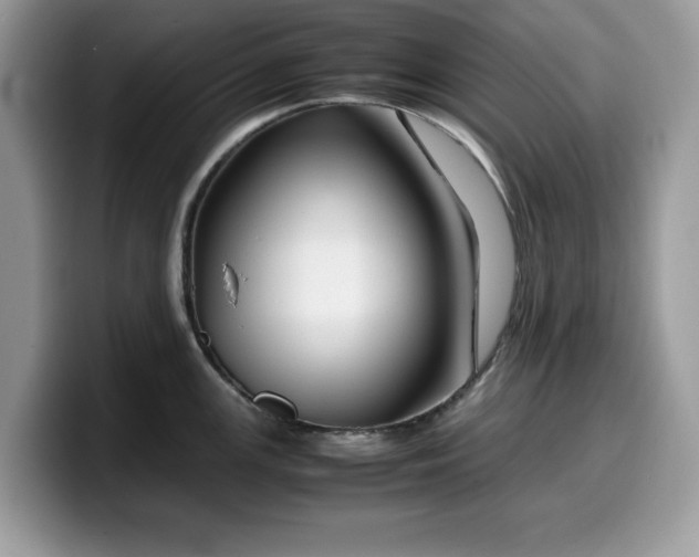 X0000099571147200805301535