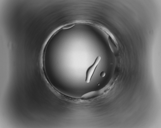 X0000099571148200805301535