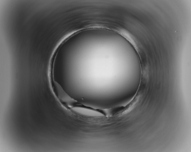 X0000099571149200805301536