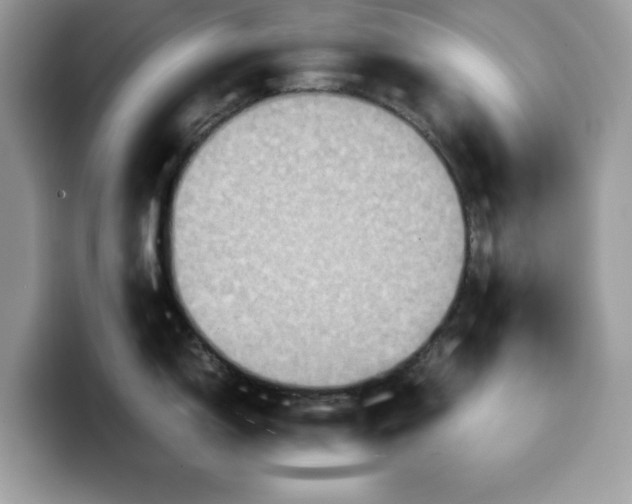 X0000099571150200805301536