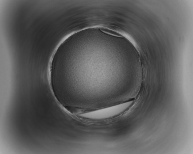 X0000099571151200805301536