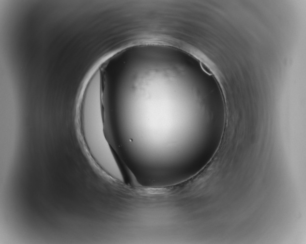 X0000099571152200805301536