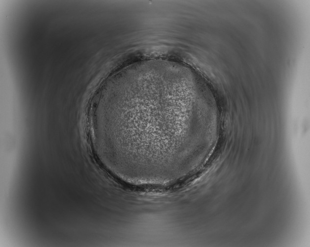 X0000099571153200805301535
