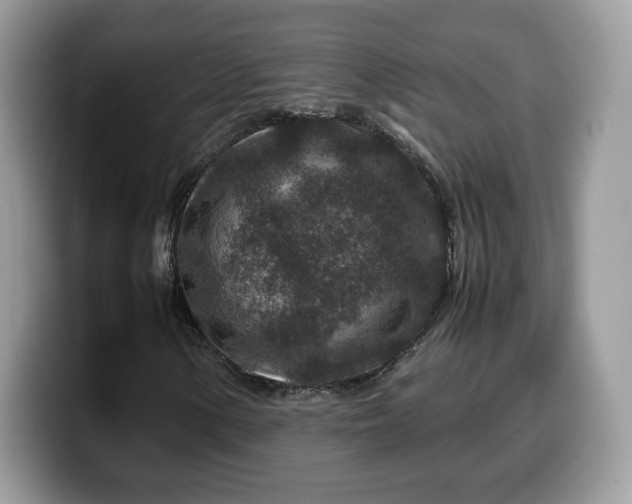 X0000099571154200805301535