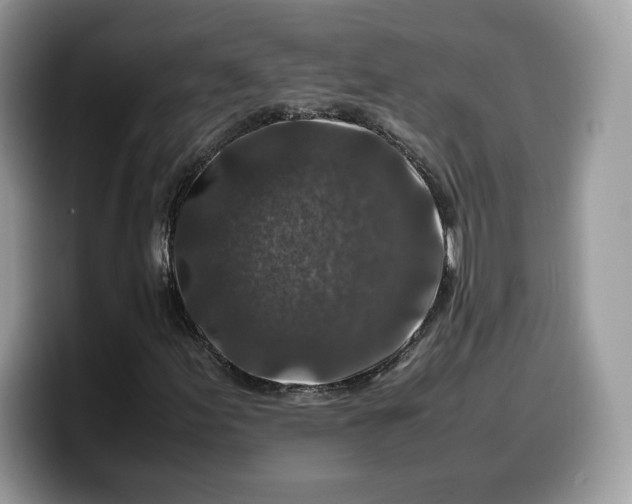 X0000099571155200805301535