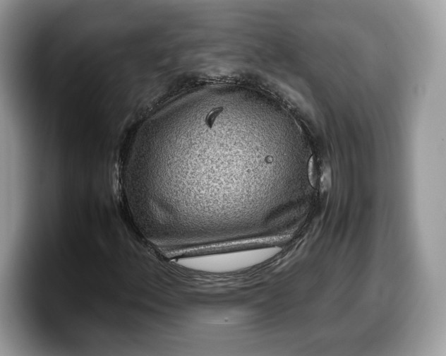 X0000099571156200805301535