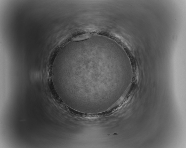 X0000099571157200805301535