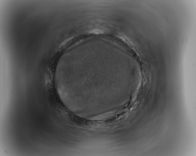 X0000099571158200805301535