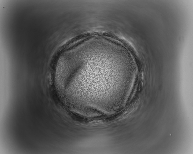 X0000099571159200805301535