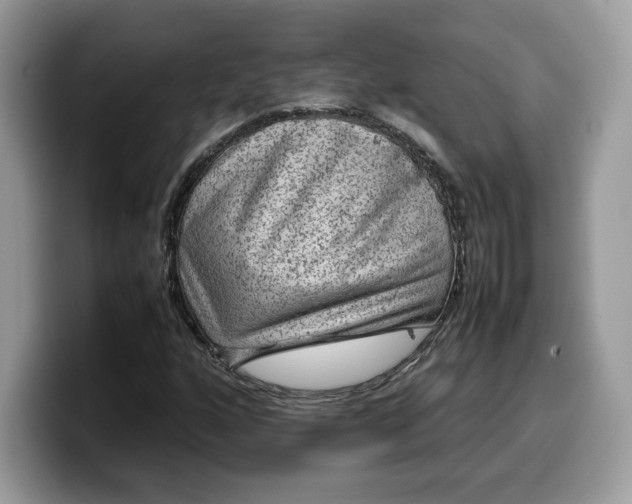 X0000099571160200805301535