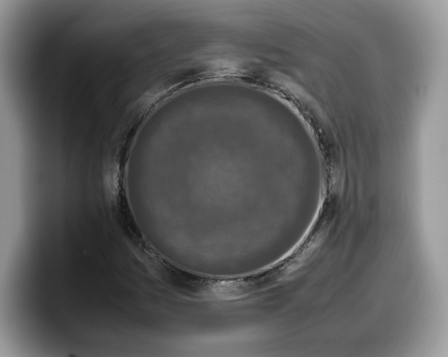 X0000099571161200805301535