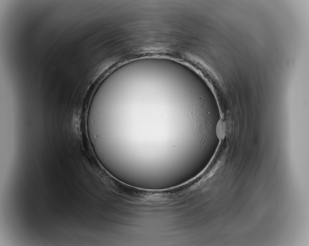 X0000099571162200805301535