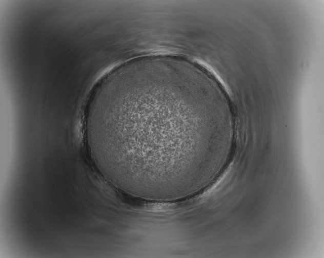 X0000099571163200805301535