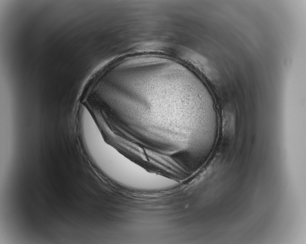 X0000099571164200805301535