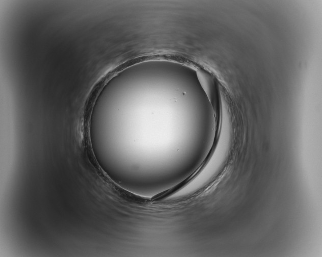 X0000099571165200805301535