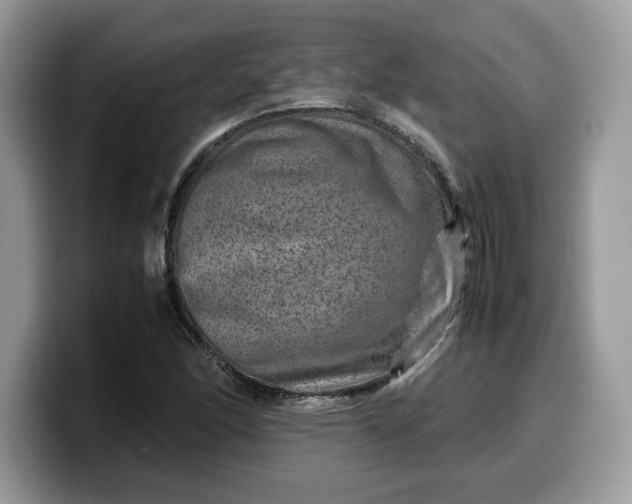X0000099571166200805301535