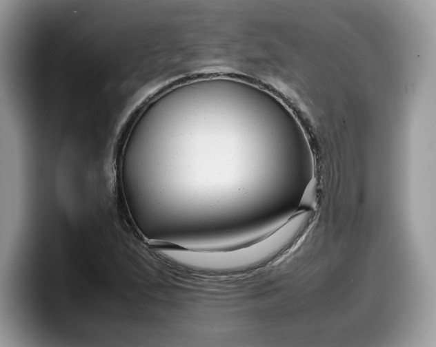 X0000099571167200805301535