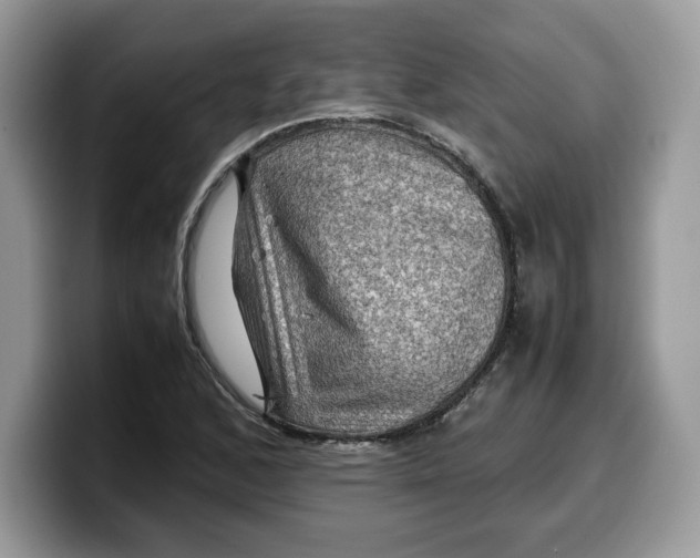 X0000099571168200805301535