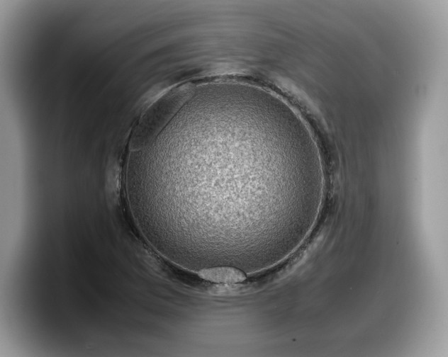 X0000099571169200805301535