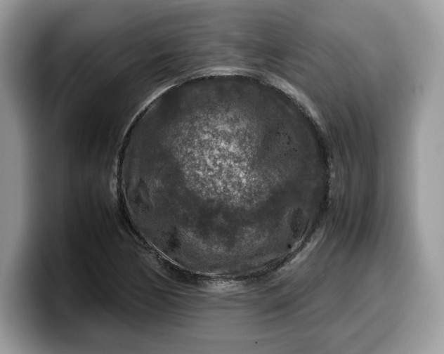 X0000099571170200805301535