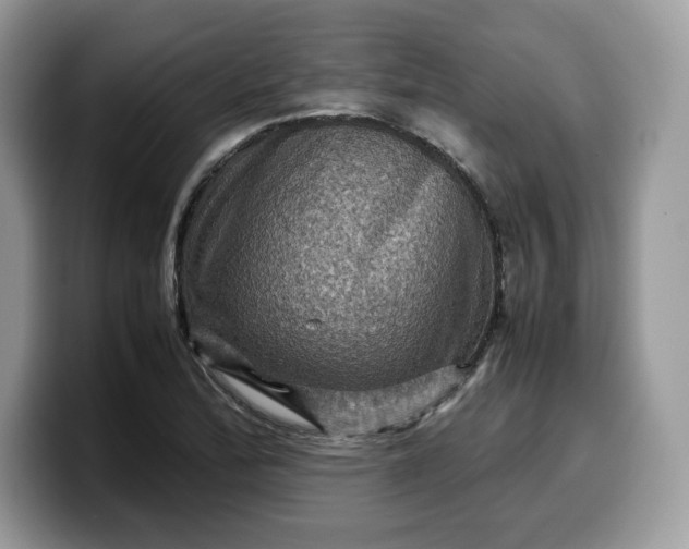 X0000099571172200805301535