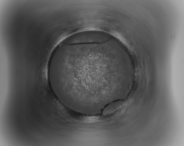 X0000099571173200805301535
