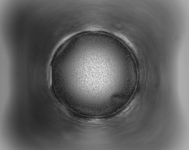 X0000099571175200805301535