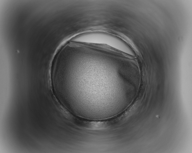 X0000099571176200805301535