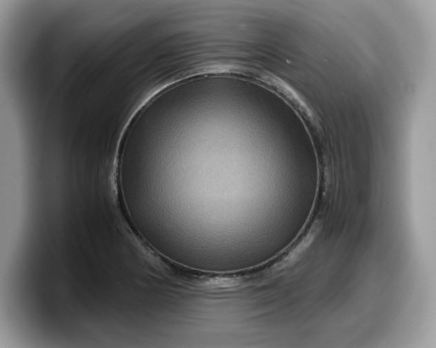 X0000099571178200805301535