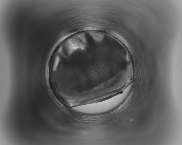 X0000099571179200805301535