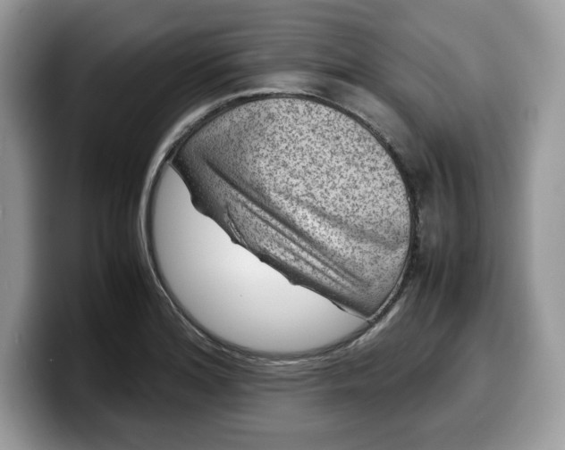 X0000099571180200805301535