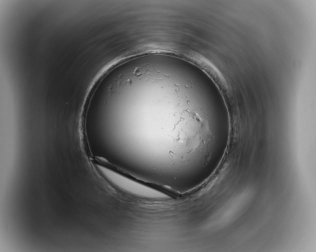 X0000099571182200805301535