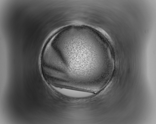 X0000099571183200805301535